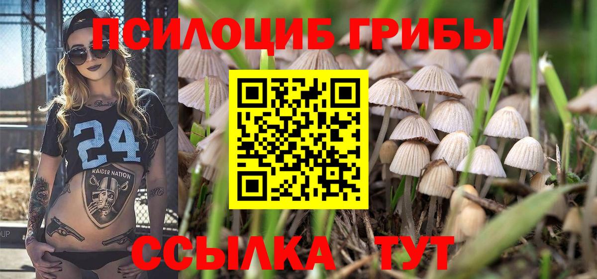 Псилоцибиновые грибы GOLDEN TEACHER  Вход с VPN  Темрюк 