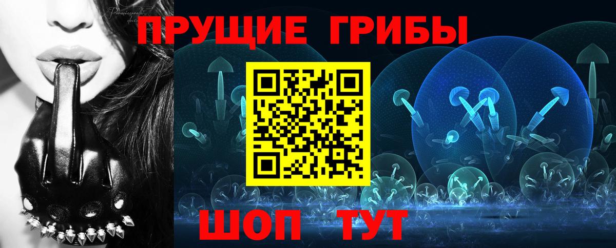 Галлюциногенные грибы Psilocybe Темрюк